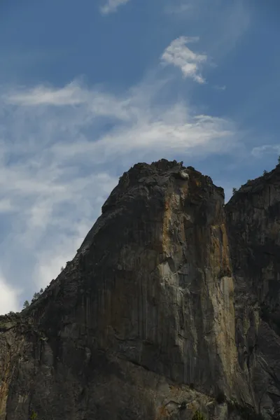 DSC_4362 (Large).JPG